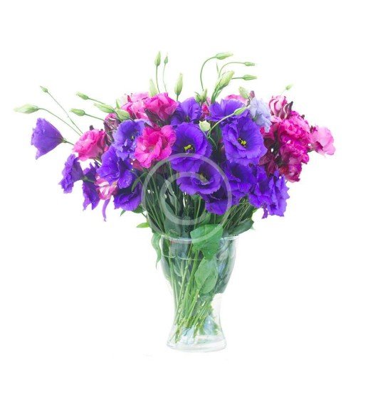 Violet Eustoma Bouquet